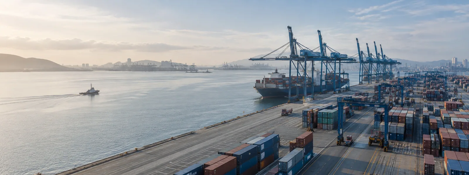 Container terminal and vessel operations viewed across a harbour.